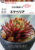 NHK趣味の園芸 12か月栽培ナビNEO 多肉植物 コーデックス