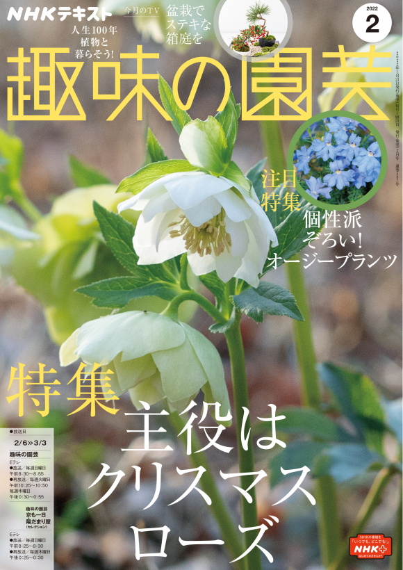 ｎｈｋ 趣味の園芸 22年2月号 Nhk出版