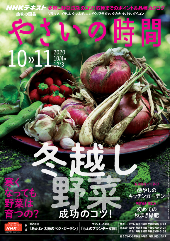 ｎｈｋ 趣味の園芸 やさいの時間 年10 11月号 Nhk出版