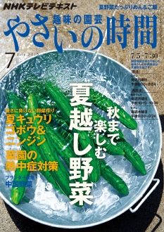 電子版 ｎｈｋ 趣味の園芸 やさいの時間 15年7月号 Nhk出版